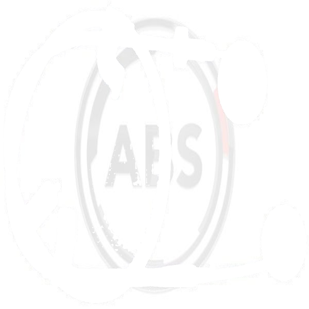 K10040 A.B.S. Cable, parking brake for KIA