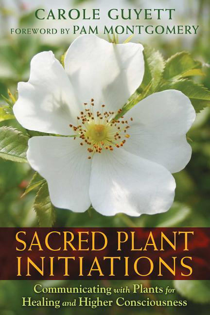 Sacred Plant Initiations: Communicating with Pl, Guyett.+ - Image 3