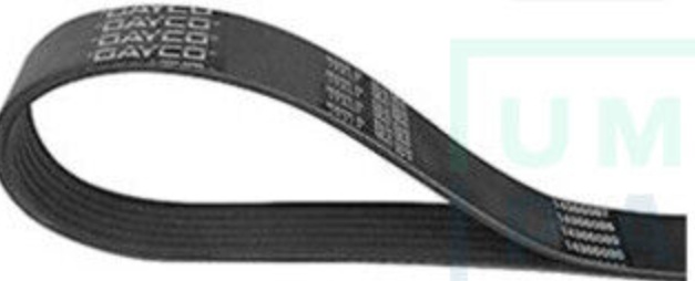 DAYCO 3PK700 V-Ribbed Belt for FIAT