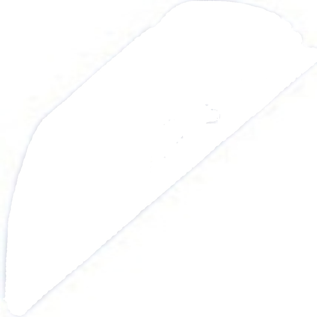 N.T.Y. ESL-CT-016.NTY Lambda Sensor for CITROËN,DS,OPEL,PEUGEOT,VAUXHALL