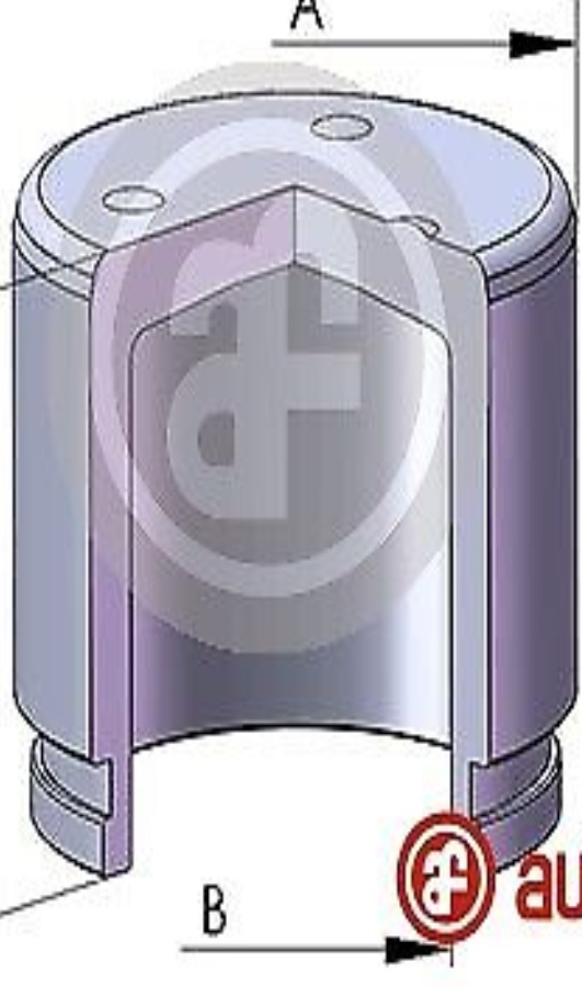 Front AUTOFREN SEINSA D025538 Piston, brake caliper for HONDA,INFINITI,NISSAN,RE