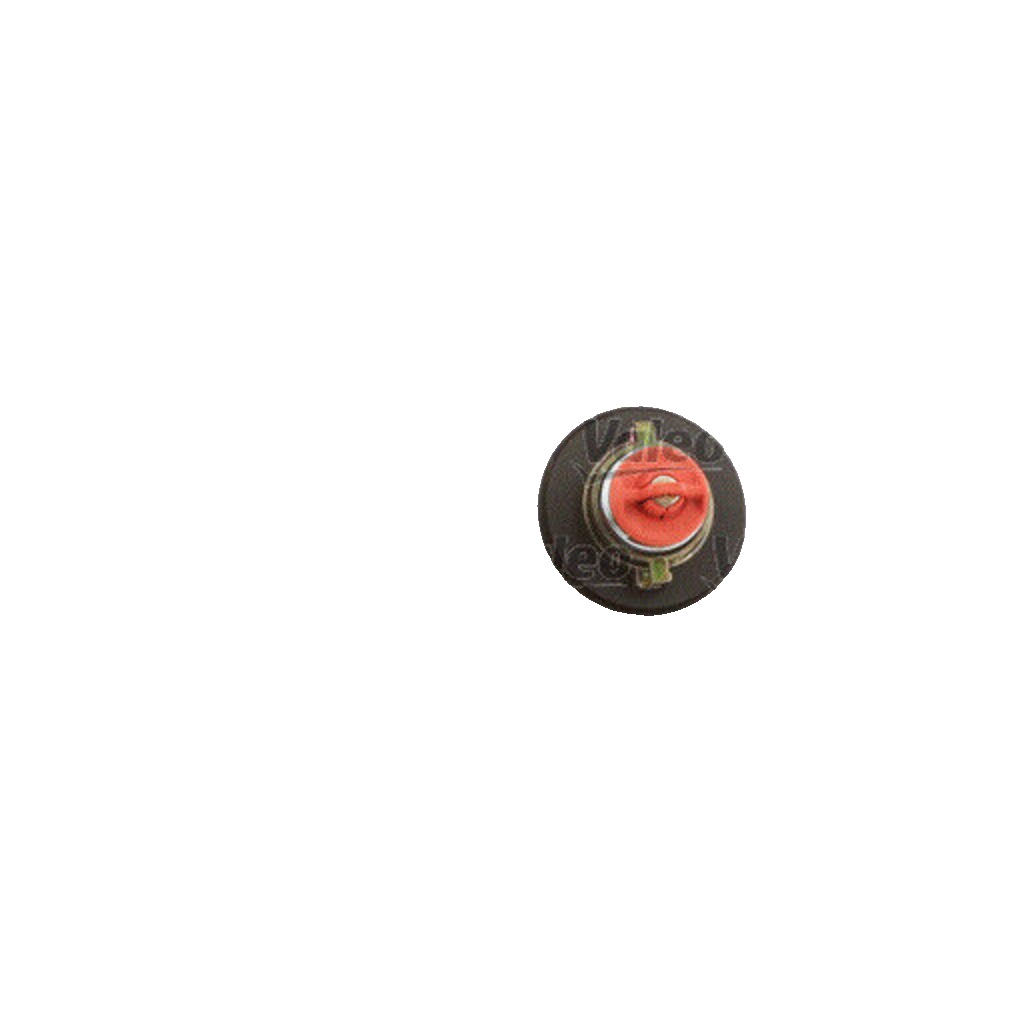 VALEO-OE 247557 Cap, fuel tank for FORD