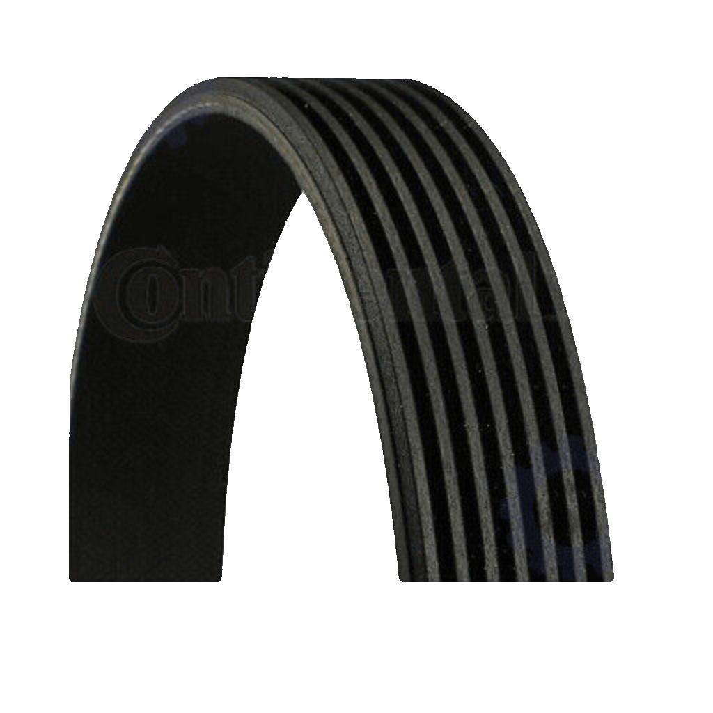 CONTINENTAL CTAM 7PK1580 V-Ribbed Belt for LAND ROVER