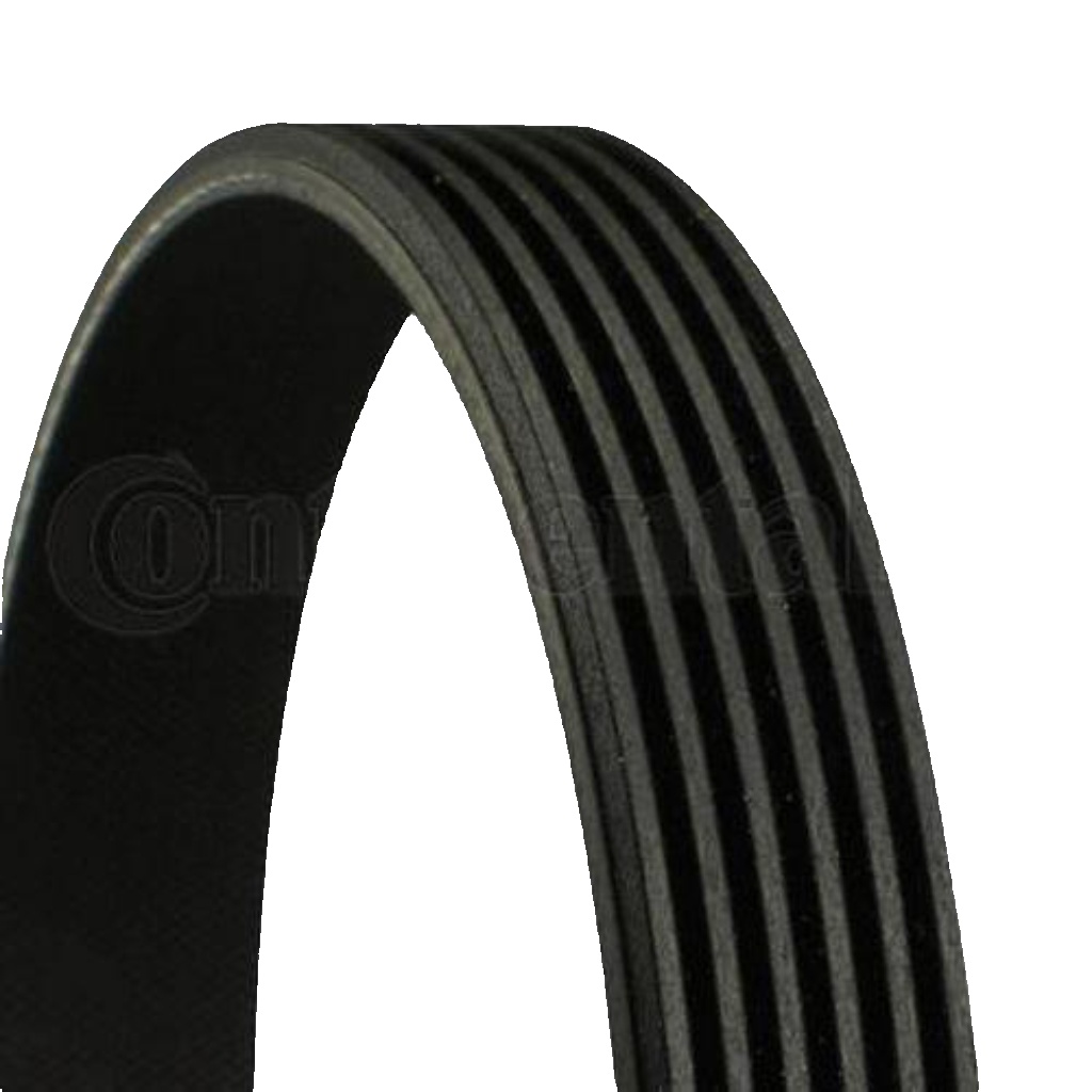 Original Continental CTAM V-Ribbed Belt 6PK848 ELAST for Citroën DS Peugeot