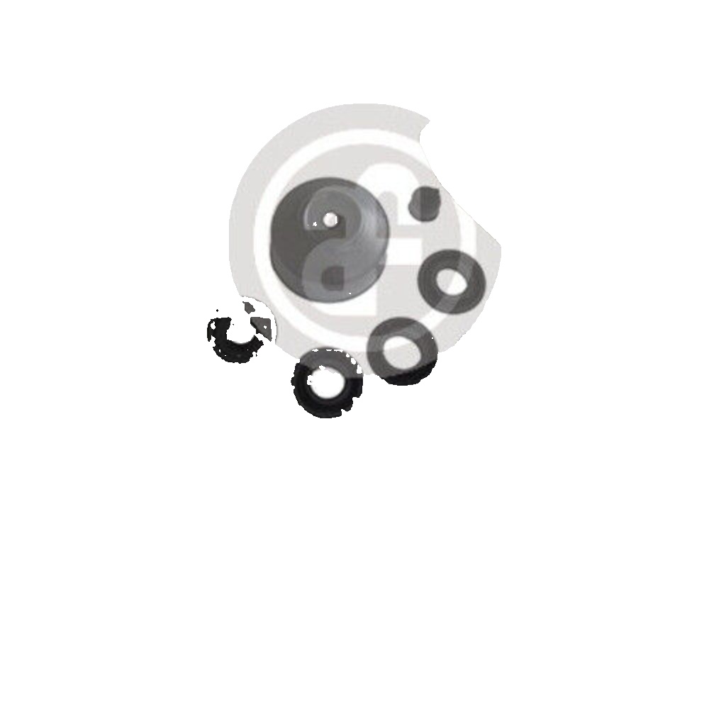 AUTOFREN SEINSA D1583 Repair Kit, brake master cylinder for MITSUBISHI