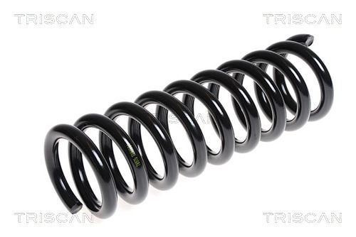 Lesjöfors Fahrwerksfeder Vorderachse 4062063 Für Nissan - Bild 3