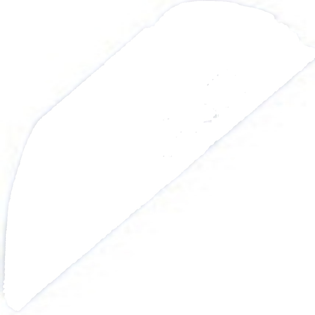 EGT-FT-031 NTY Sensor, exhaust gas temperature for FIAT