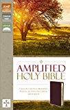 Amplified Holy Bible, Bonded Leather, Burgundy by  Zondervan ... - 9780310443940