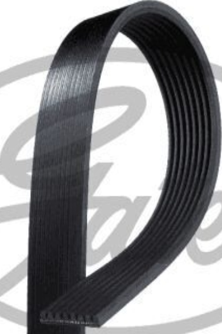 Gates Micro-V Multi-Ribbed Belt - 8PK1310XS