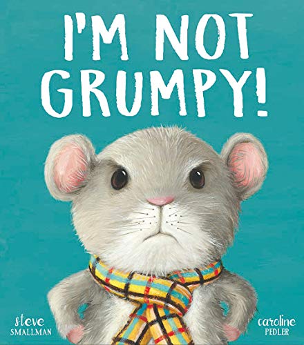 I’m Not Grumpy! by Steve Smallman PAPERBACK - Image 4