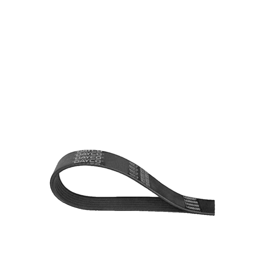 8PK1725HD DAYCO V-Ribbed Belt
