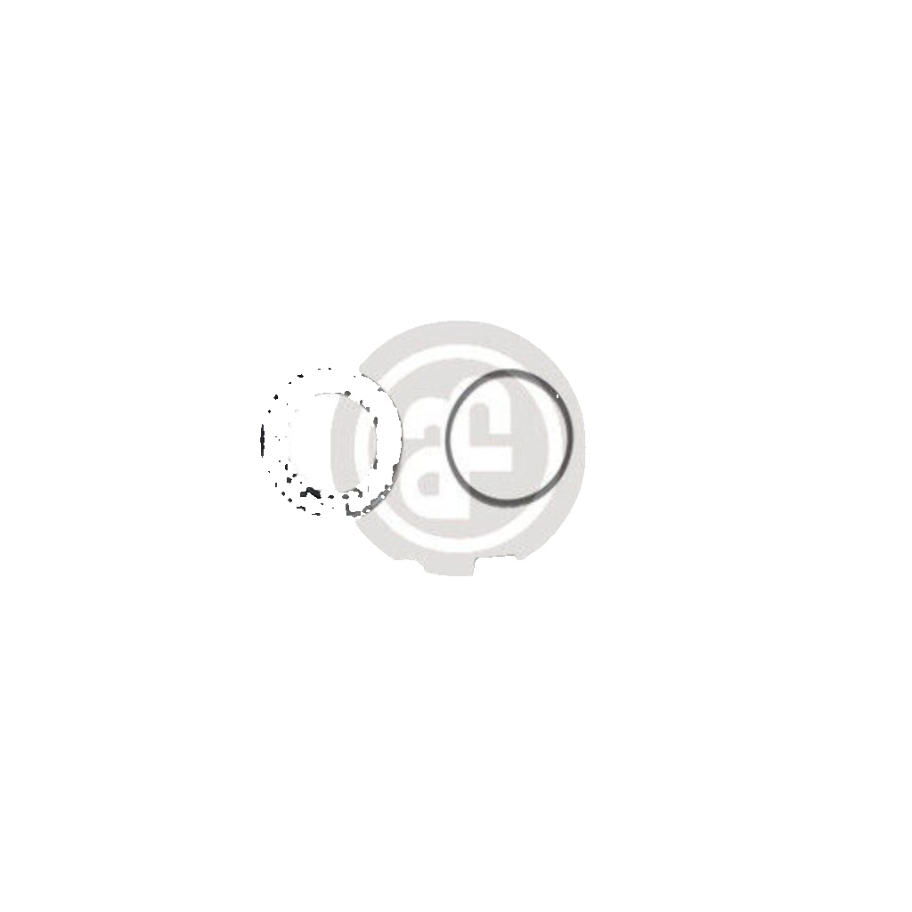 D4232 AUTOFREN SEINSA REPAIR KIT, BRAKE CALIPER FRONT AXLE FOR HYUNDAI KIA LAND