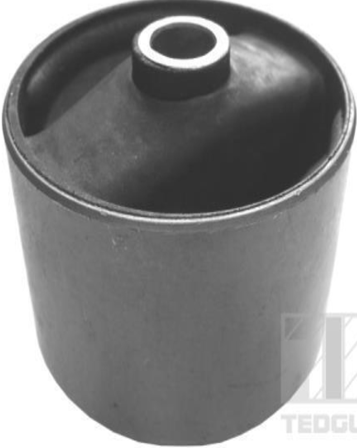 TEDGUM 00166922 Engine Mounting for DAEWOO