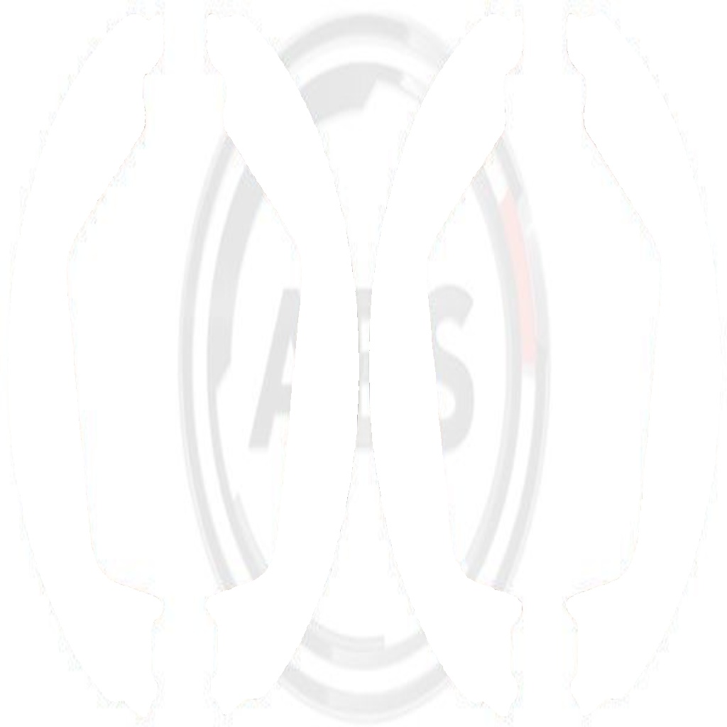 9071 A.B.S. Brake Shoe Set, parking brake for VOLVO