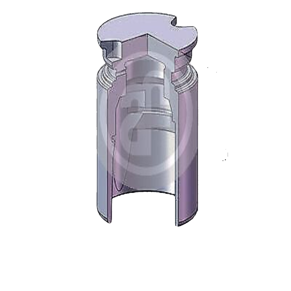 AUTOFREN SEINSA D02523 Piston, brake caliper for CHEVROLET,CITRO�N,HYUNDAI,OPEL,