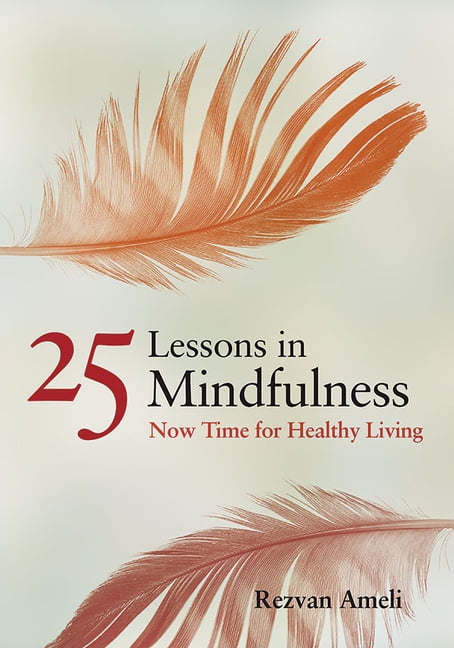 25 Lessons in Mindfulness - 9781433813238