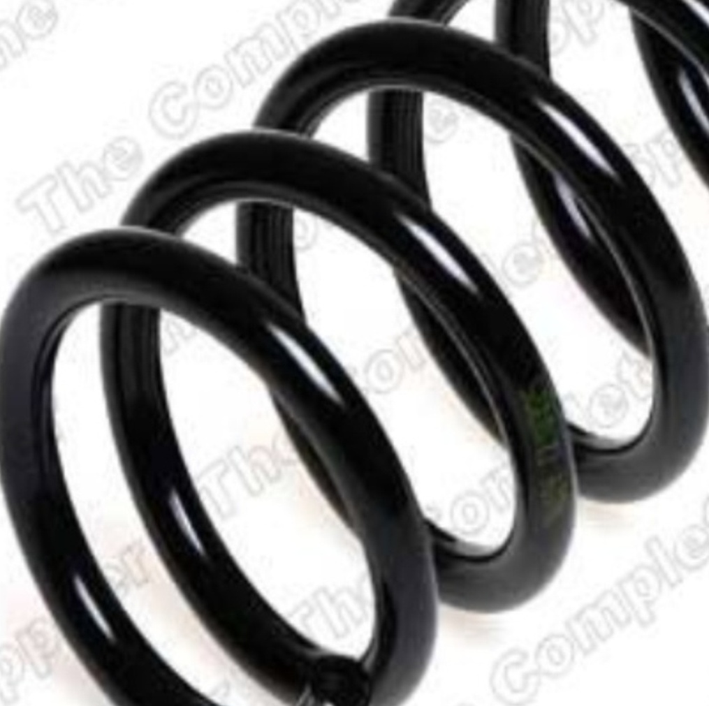 Rear LESJÖFORS 4262026 Suspension Spring for NISSAN