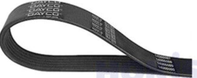 Dayco V-Ribbed Belt 6Pk725 Rozmiar 6