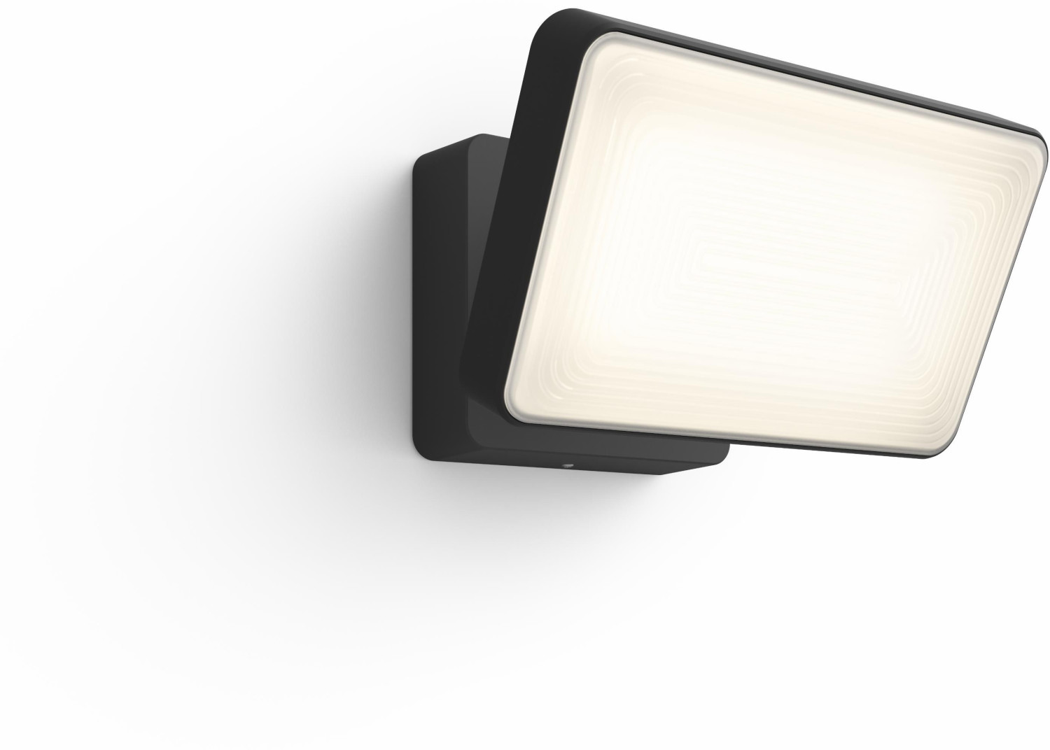 Philips Hue White and colour ambience Discover Outdoor Floodlight