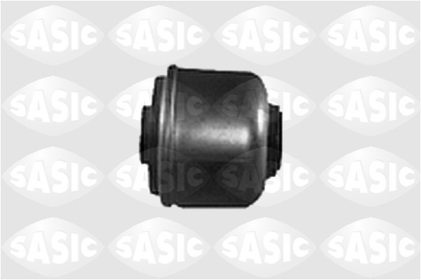 Sasic Bushing 4001413 Renault