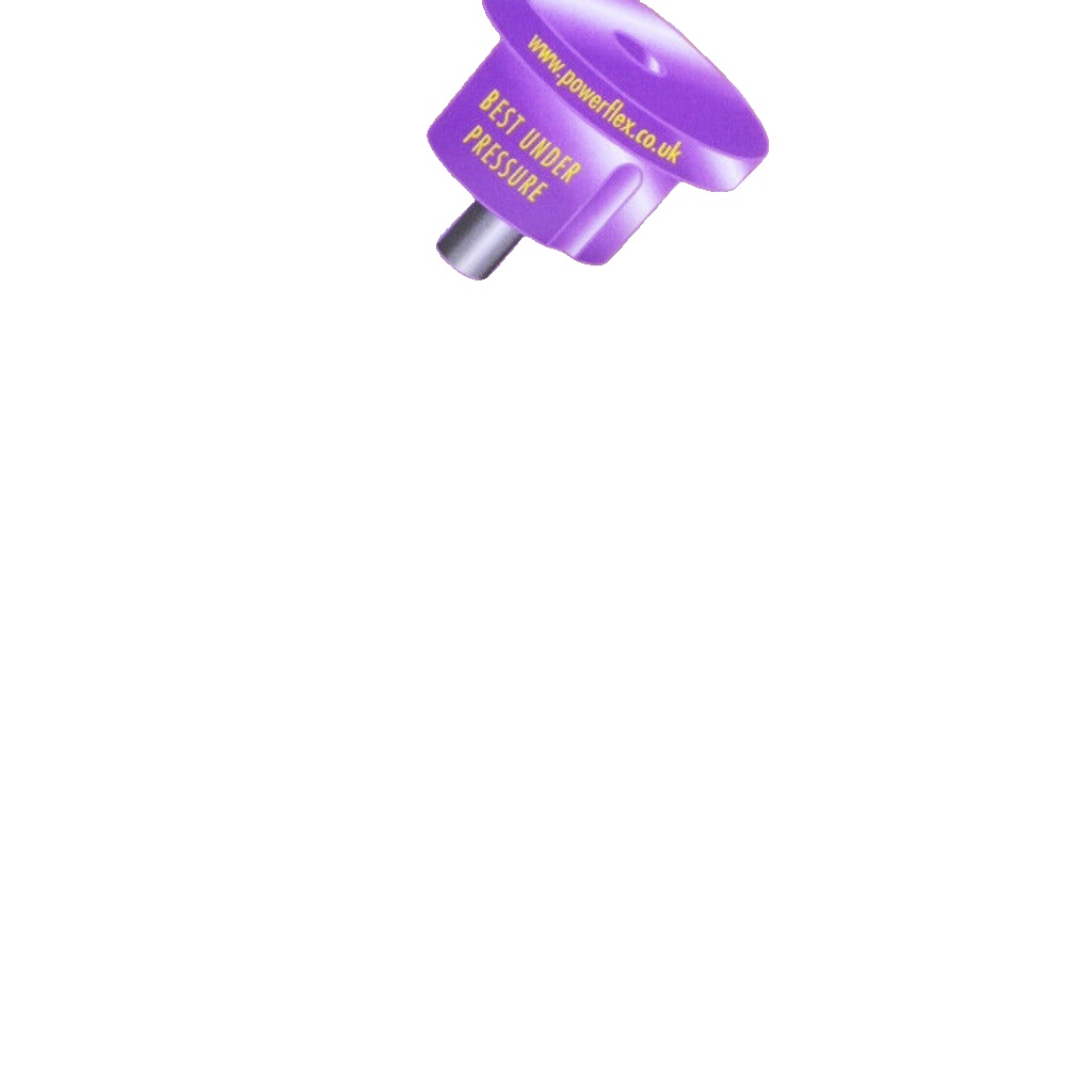 PFR36-407 Powerflex Road Rear Link Arm Inner Bushes