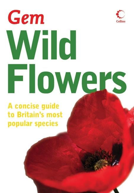 Wild Flowers