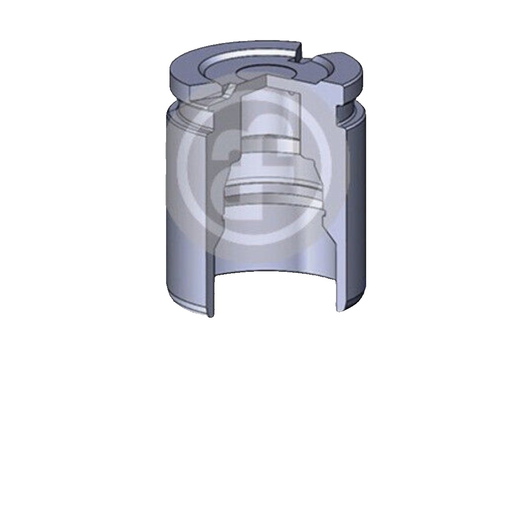 Rear AUTOFREN SEINSA D02593 Piston, brake caliper for ,ALFA ROMEO,AUDI,CHEVROLET