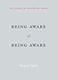 Being Aware of Being Aware