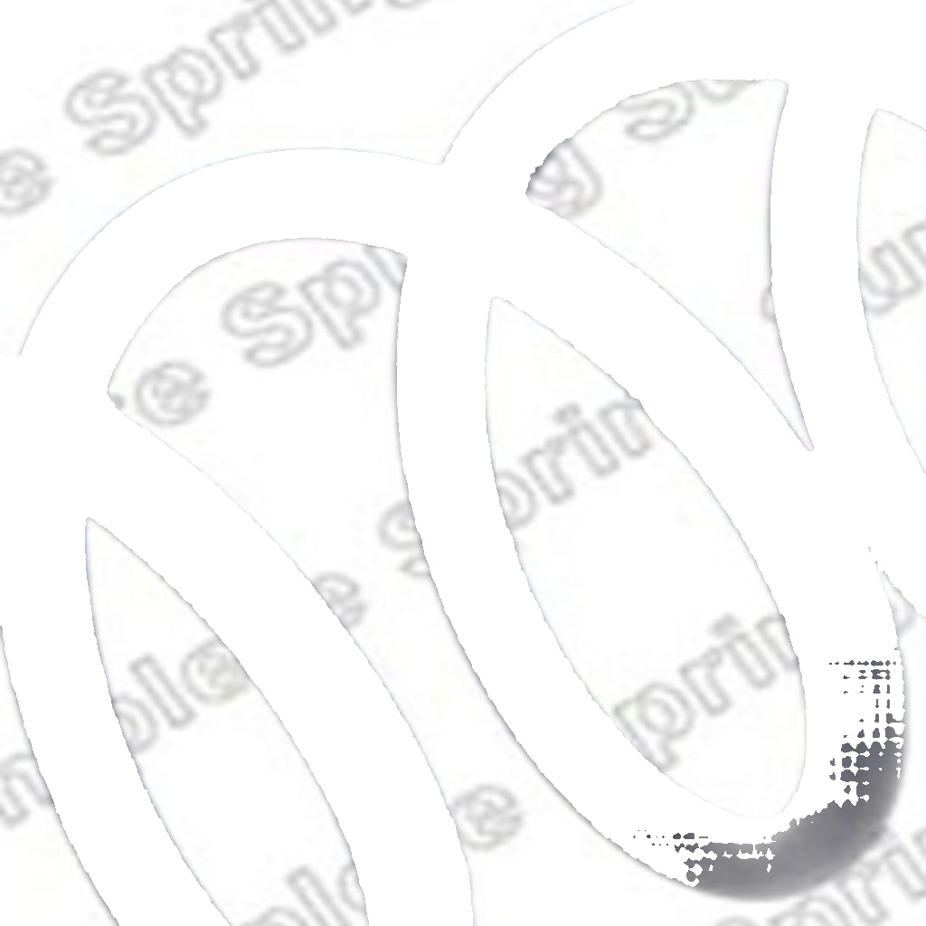 Rear LESJÖFORS 4288347 Suspension Spring for SUBARU