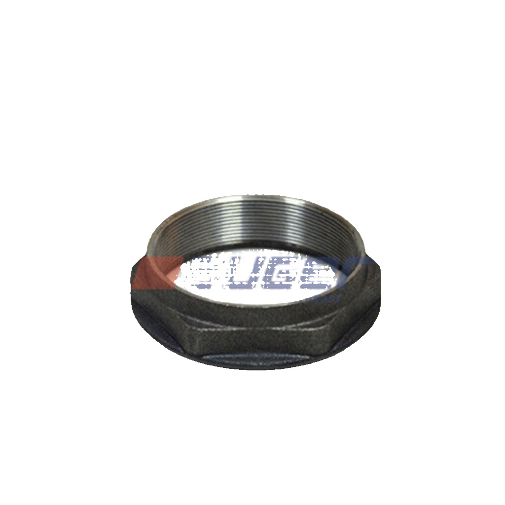 AUGER 55765 Nut, kingpin for RENAULT TRUCKS