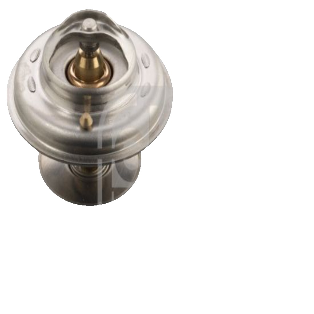 FEBI BILSTEIN 09675 Coolant Thermostat Fits Mercedes-Benz Coupe S-Class SL