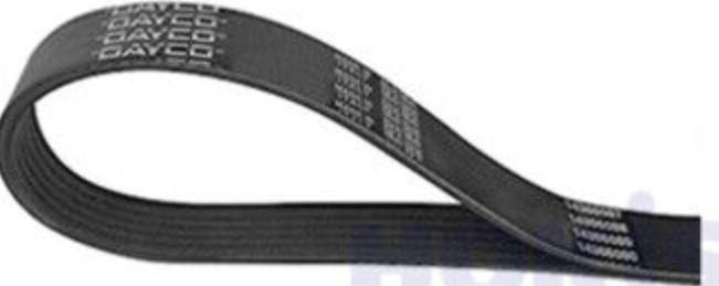 DAYCO 6PK1355 V-Ribbed Belt for CITROËN,FIAT,MERCEDES-BENZ,PEUGEOT
