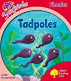 Oxford Reading Tree Songbirds Phonics Level 4 by Julia Donaldson PAPERBACK - Image 7
