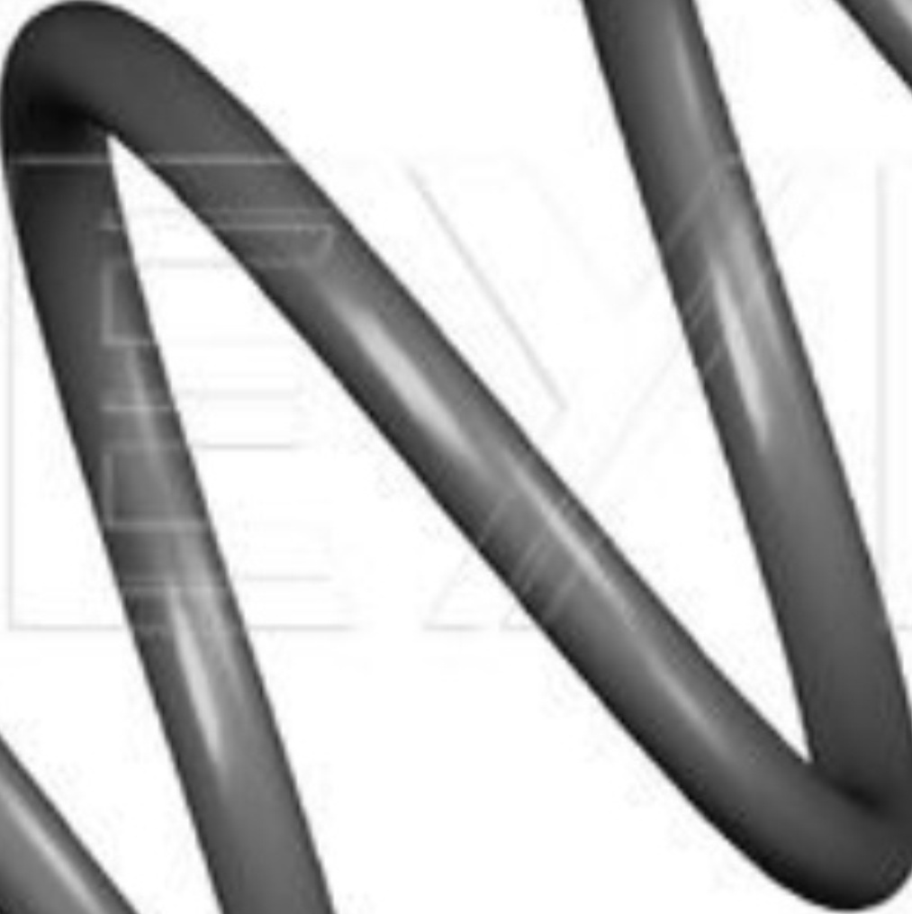 Rear MEYLE GERMANY 100 739 0029 Suspension Spring for AUDI,VW