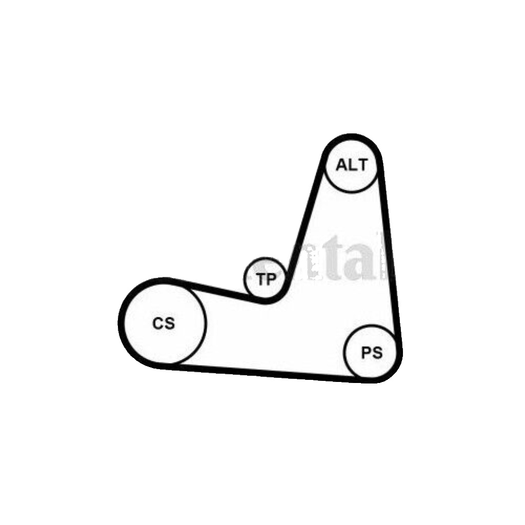 5PK1135K1 CONTINENTAL CTAM V-Ribbed Belt Set for DACIA,NISSAN,RENAULT