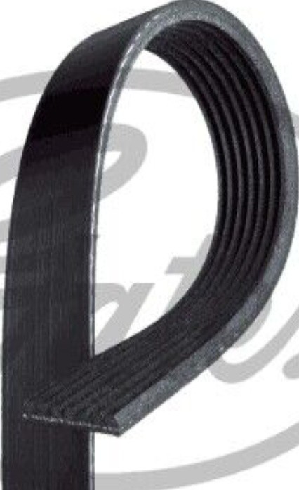 Gates Micro-V Multi-Ribbed Belt - 7PK2238