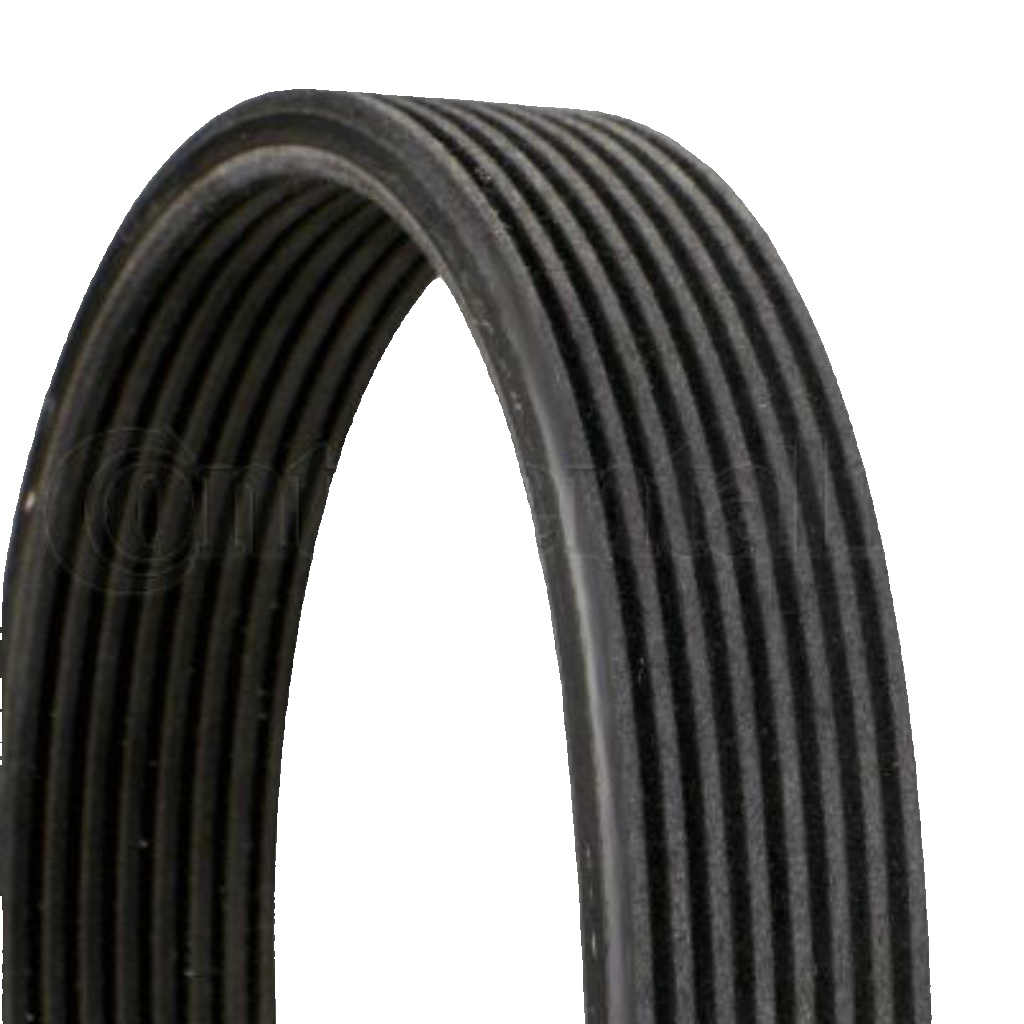 Multi-ribbed V-belt 8DPK1827 CONTINENTAL CTAM for BMW 7 X6
