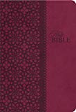 KJV Study Bible, Leathersoft, Red/Pink, Thumb Indexed, Red Le... - 9781401680336