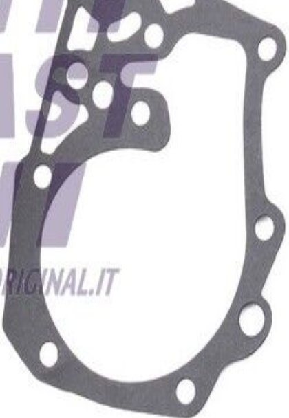 FAST FT57173 Water Pump, engine cooling for DACIA,LADA,NISSAN,RENAULT
