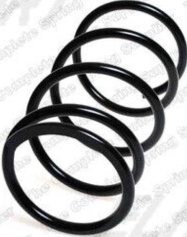 Front LESJÖFORS 4062058 Suspension Spring for NISSAN