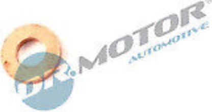 Dr.Motor Automotive DRM041 Seal Kit, injector nozzle for ,OPEL,RENAULT