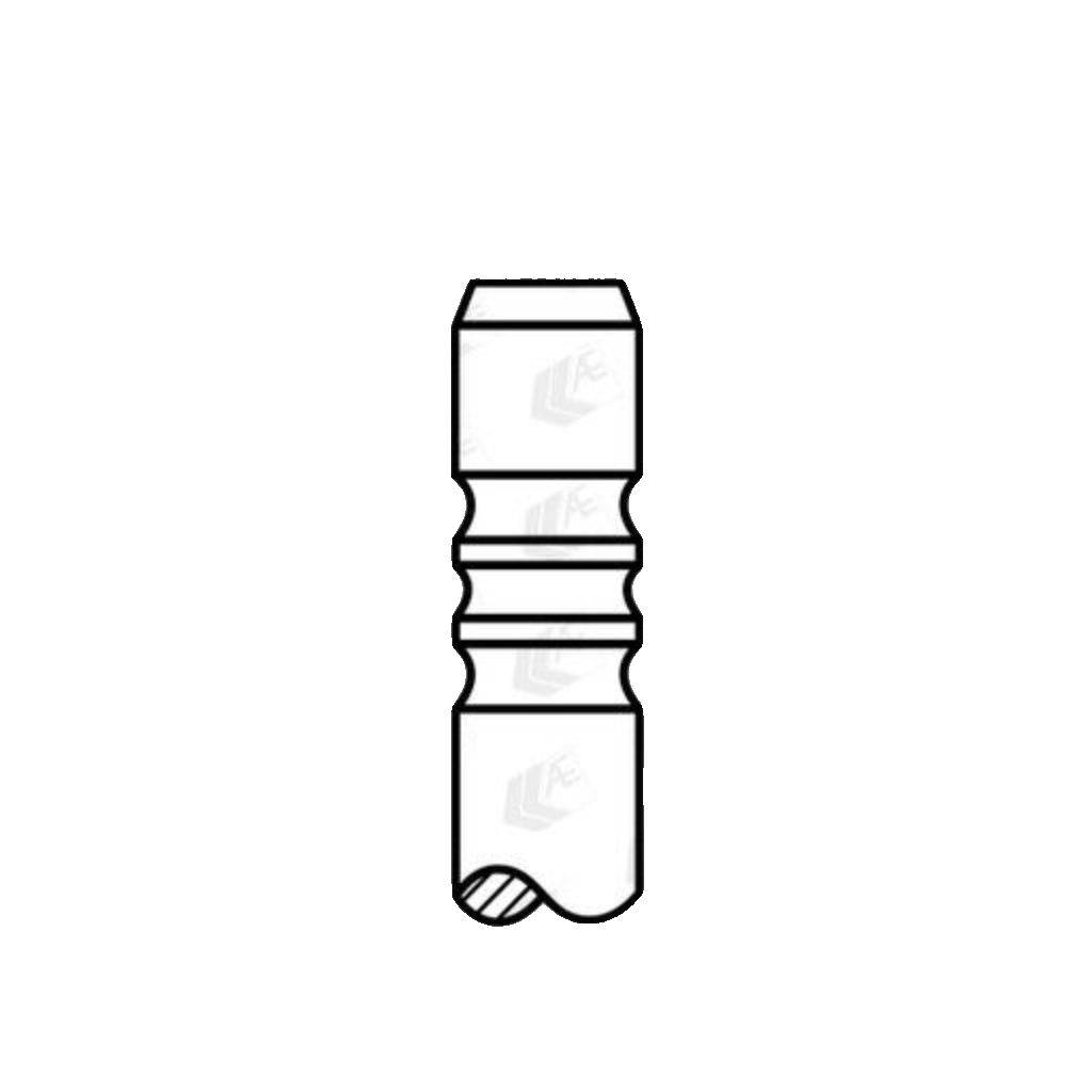 AE V90179 Intake Valve for AUDI,VW
