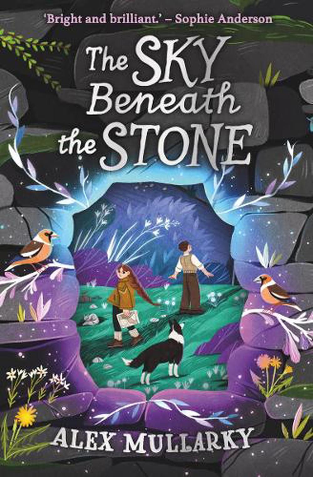 The Sky Beneath the Stone