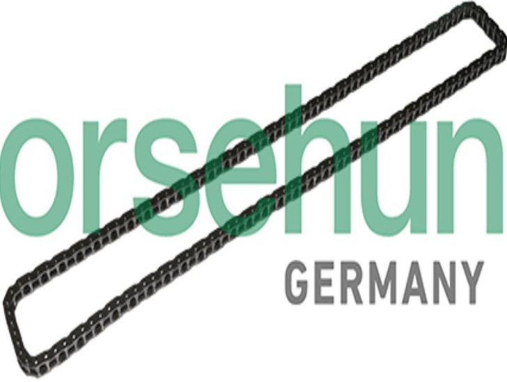 Fits BORSEHUNG B1C024 TIMING CHAIN BMW 1.6/1.8/2.0   ⭐UK Stock⭐