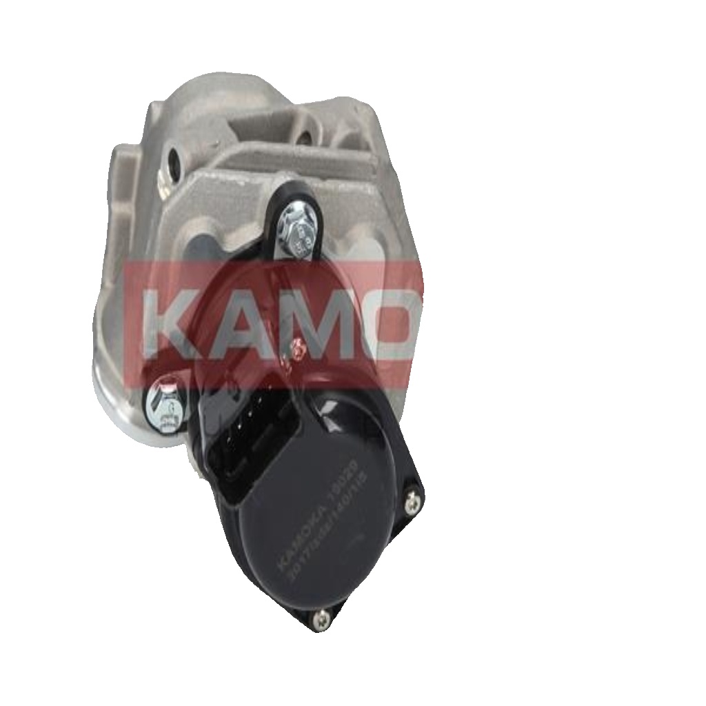 KAMOKA 19029 EGR Valve for CITROËN,FORD,PEUGEOT,TOYOTA