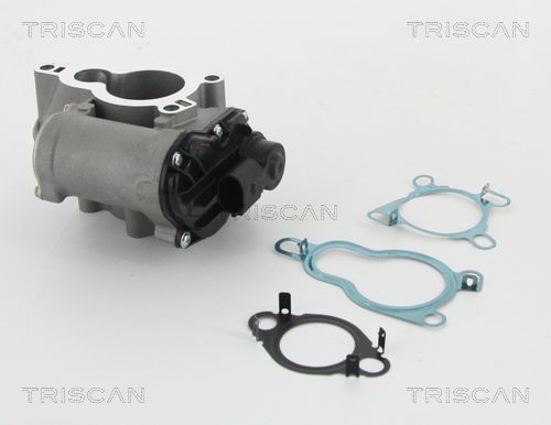Triscan Agr-Ventil 8813 25010 Für Opel Renault - Bild 2