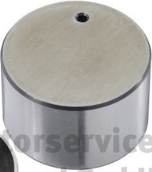 Valve lifter glass Exhaust Side mechanical 50007821 KOLBENSCHMIDT for RENAULT