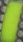 Cuffs Domino on Road Gris-Amarillo Fluor for Moto Spare Parts Accessories Pieces