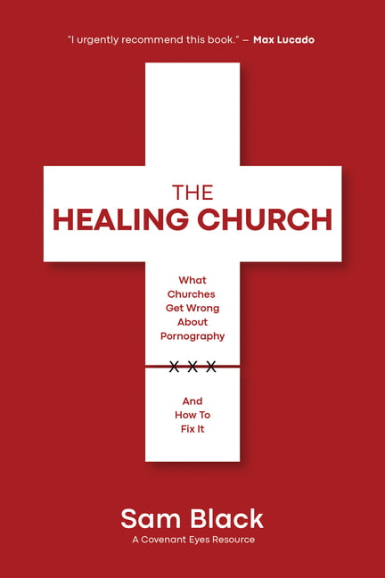 The Healing Church: What Churches Get Wrong about Pornography and How to Fix It - Image 3
