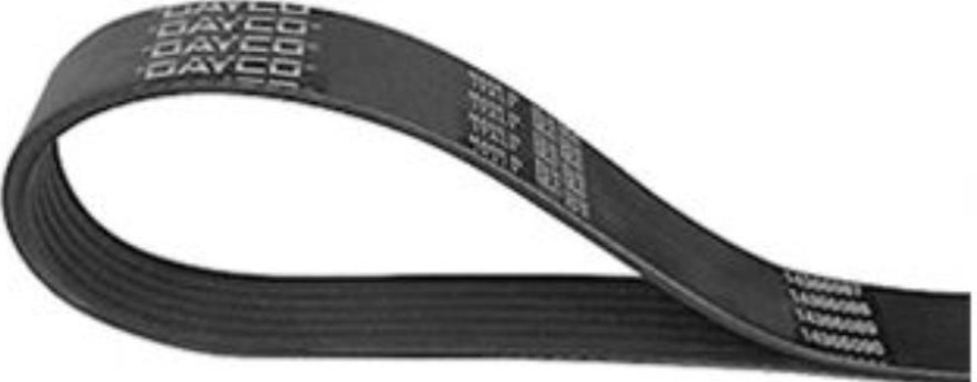 Dayco V-Ribbed Belt 8Pk2465hd Rozmiar 8